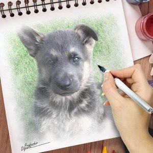 Meet your Posher, Cosette